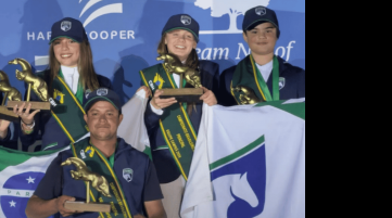 Campeonato Brasilei